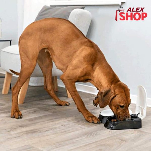 Automatska hranilica za pse i mačke Trixie