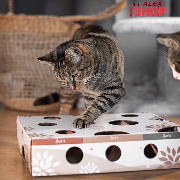 MagicBox interaktivna igračka inteligencije za mačke
