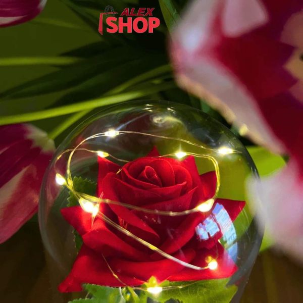 Večna Ruža sa medom i led svetlom u staklenoj kupoli