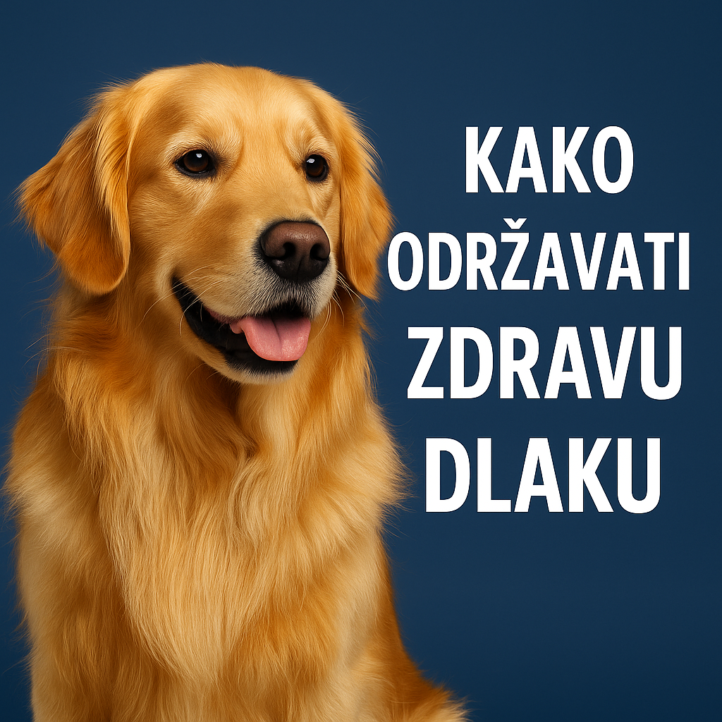 „Pas i mačka sa zdravom, sjajnom dlakom u toplom domu – saveti za negu ljubimaca“